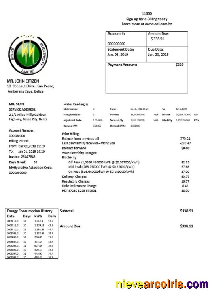 Belize Electricity electricity utility bill